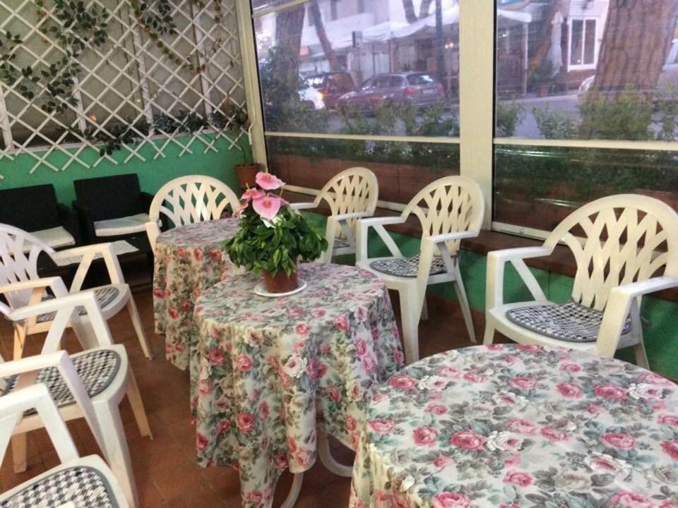 カットーリカ New Prophet Bed & Breakfast エクステリア 写真